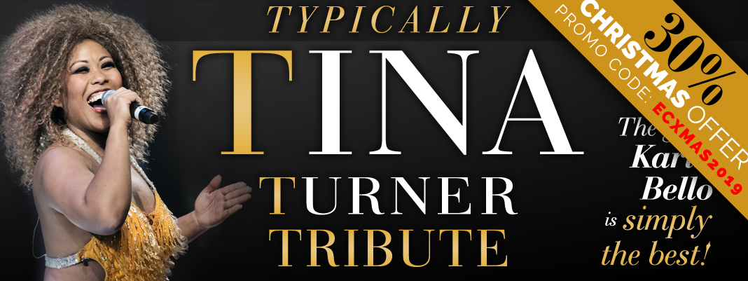 TINA TURNER TRIBUTE - Typically Tina